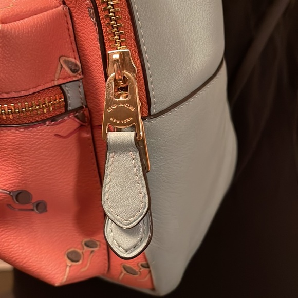 Coach sunglasses backpack - Picture 2 of 16